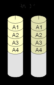 RAID 1